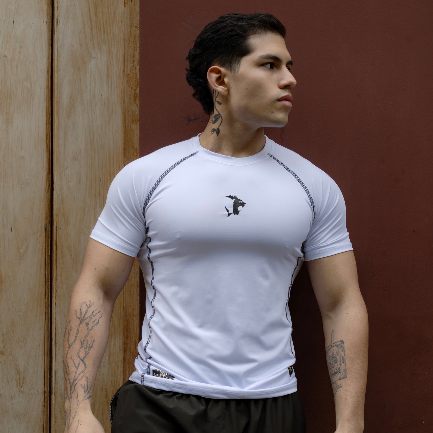 NUEVA COLECIÓN COMPRESORES SINBA