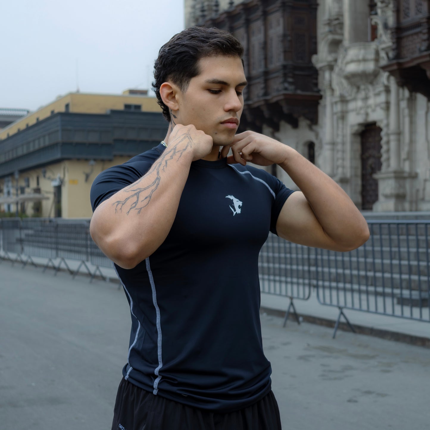 NUEVA COLECIÓN COMPRESORES SINBA