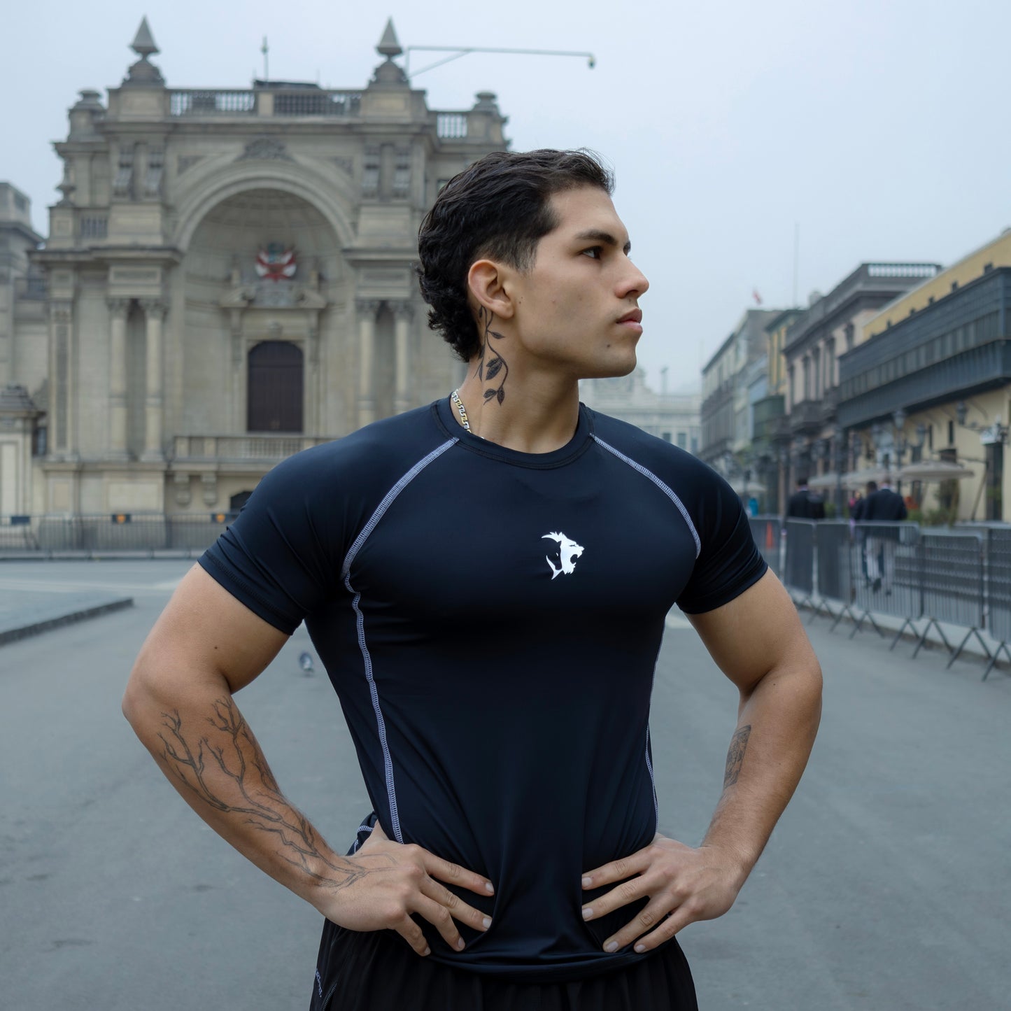 NUEVA COLECIÓN COMPRESORES SINBA