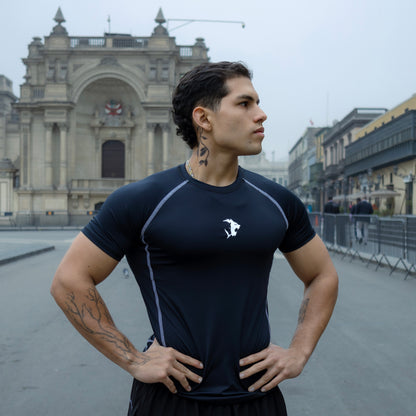 NUEVA COLECIÓN COMPRESORES SINBA