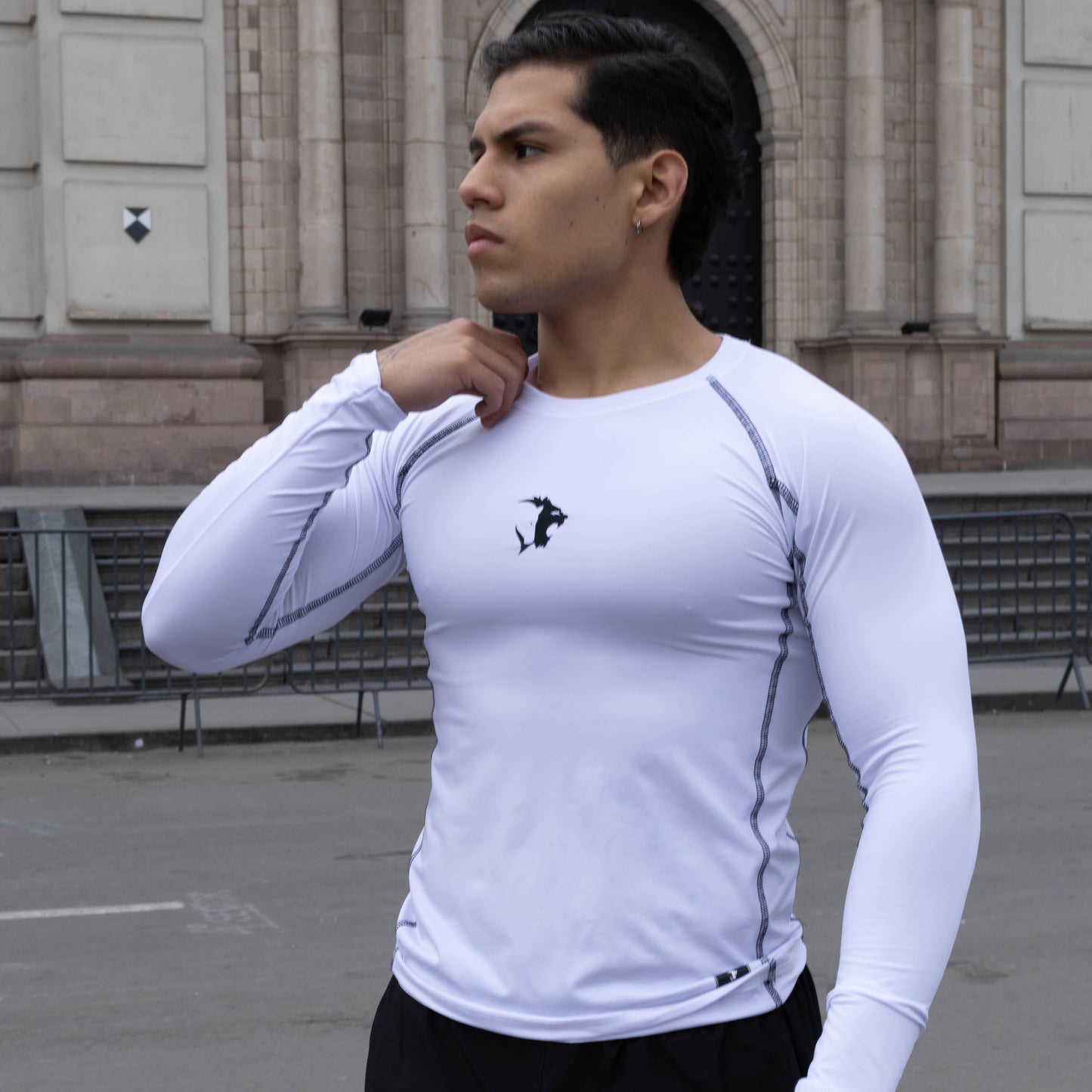 COLECIÓN COMPRESORES SINBA M.L