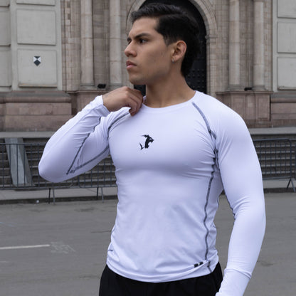 COLECIÓN COMPRESORES SINBA M.L